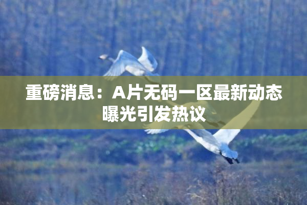 重磅消息：A片无码一区最新动态曝光引发热议