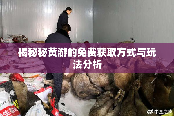 揭秘秘黄游的免费获取方式与玩法分析