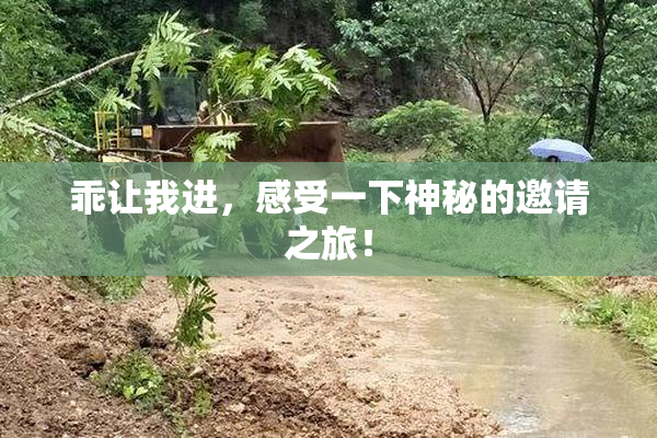 乖让我进，感受一下神秘的邀请之旅！