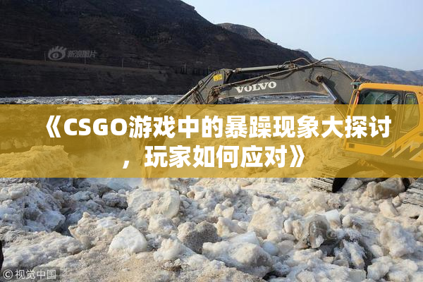 《CSGO游戏中的暴躁现象大探讨，玩家如何应对》