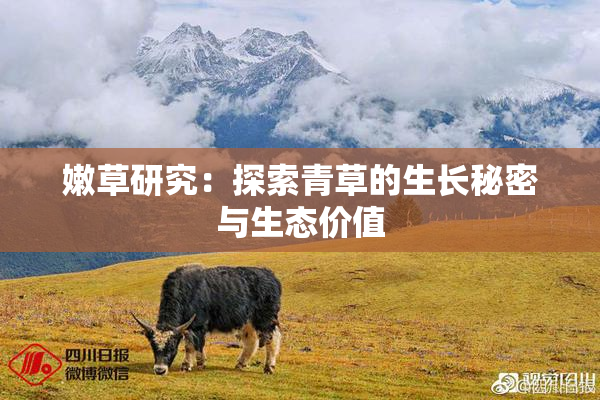 嫩草研究：探索青草的生长秘密与生态价值