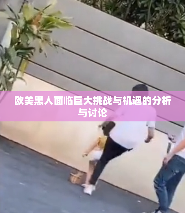 欧美黑人面临巨大挑战与机遇的分析与讨论