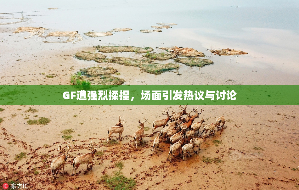 GF遭强烈揉捏，场面引发热议与讨论