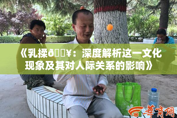《乳揉🔥：深度解析这一文化现象及其对人际关系的影响》