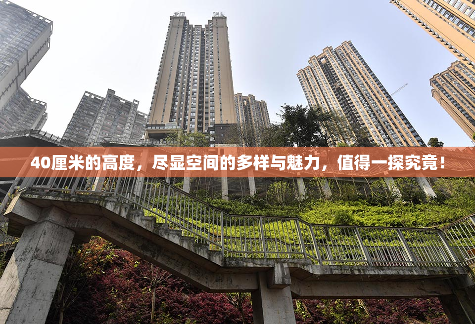 40厘米的高度，尽显空间的多样与魅力，值得一探究竟！