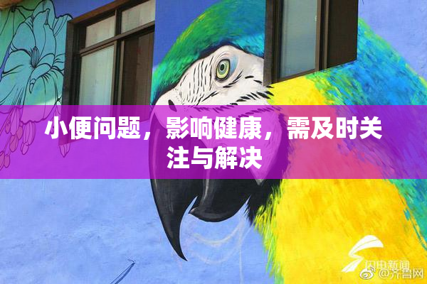 小便问题，影响健康，需及时关注与解决