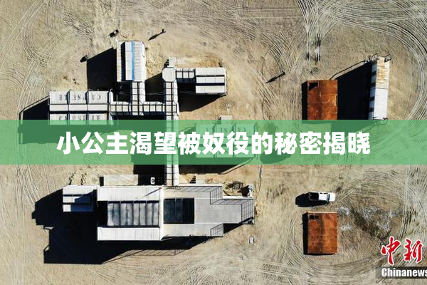 小公主渴望被奴役的秘密揭晓