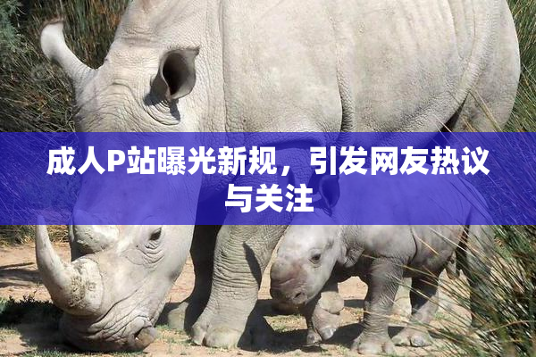 成人P站曝光新规，引发网友热议与关注