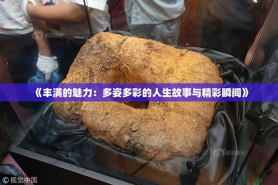 《丰满的魅力：多姿多彩的人生故事与精彩瞬间》