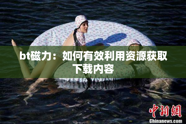 bt磁力：如何有效利用资源获取下载内容