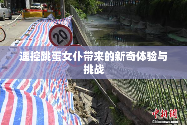 遥控跳蛋女仆带来的新奇体验与挑战