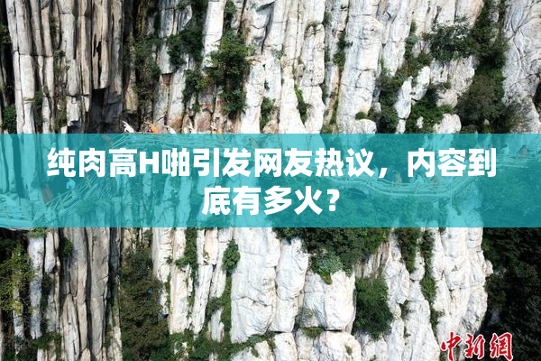 纯肉高H啪引发网友热议，内容到底有多火？