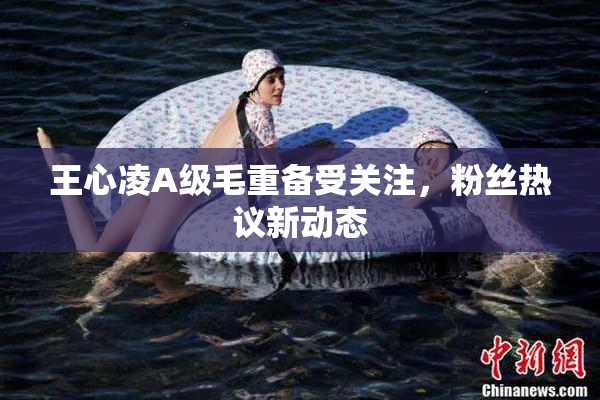 王心凌A级毛重备受关注，粉丝热议新动态
