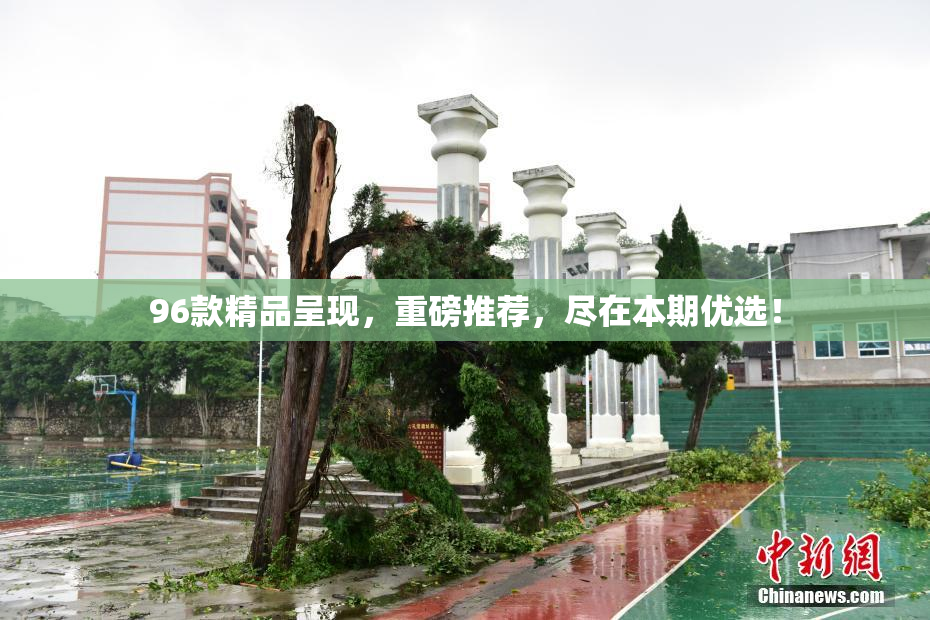 96款精品呈现，重磅推荐，尽在本期优选！