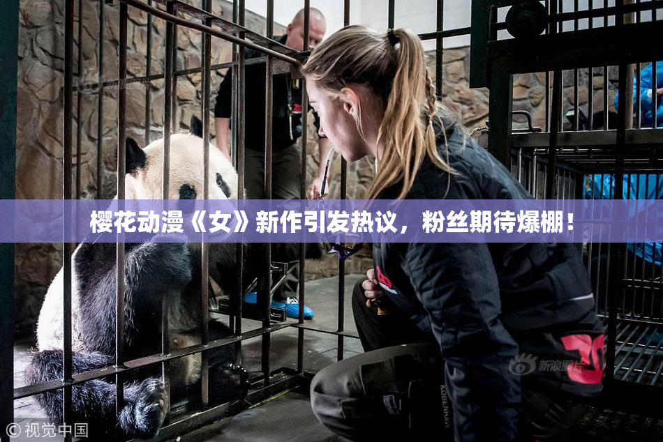樱花动漫《女》新作引发热议，粉丝期待爆棚！