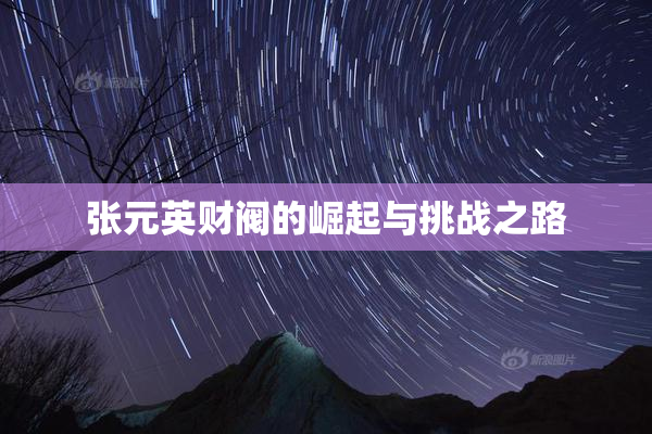 张元英财阀的崛起与挑战之路