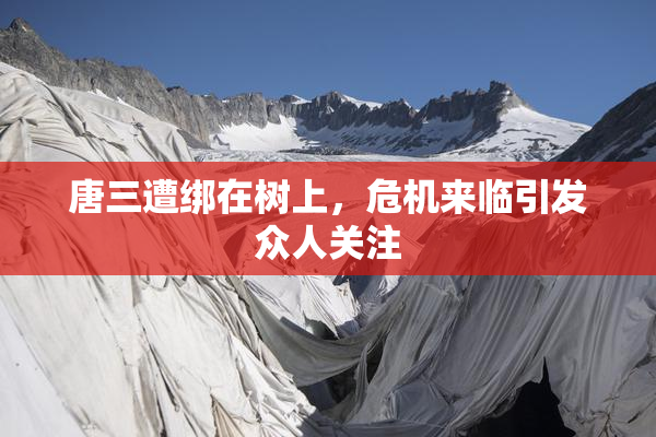唐三遭绑在树上，危机来临引发众人关注