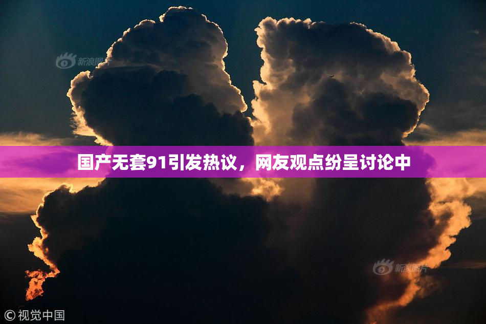 国产无套91引发热议，网友观点纷呈讨论中