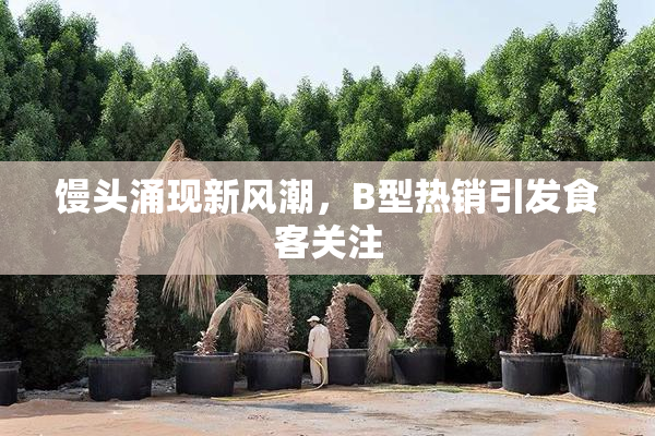 馒头涌现新风潮，B型热销引发食客关注