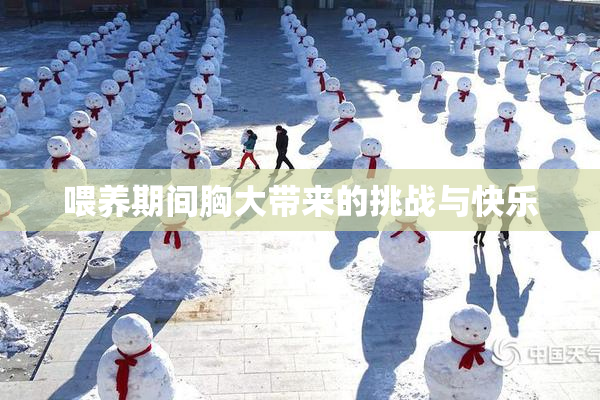 喂养期间胸大带来的挑战与快乐