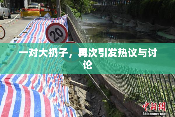 一对大扔子，再次引发热议与讨论