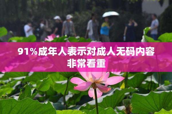 91%成年人表示对成人无码内容非常看重