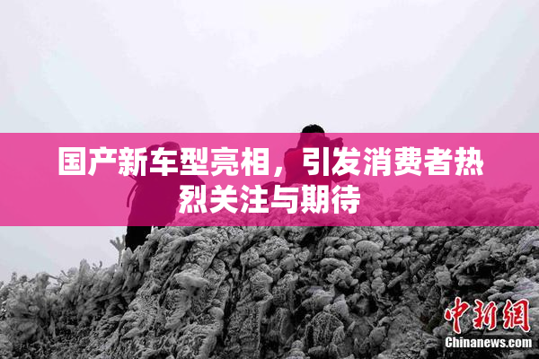 国产新车型亮相，引发消费者热烈关注与期待