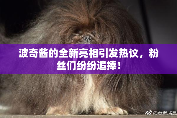 波奇酱的全新亮相引发热议，粉丝们纷纷追捧！