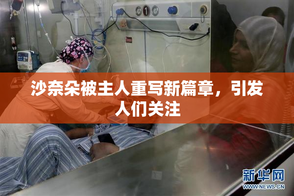 沙奈朵被主人重写新篇章，引发人们关注