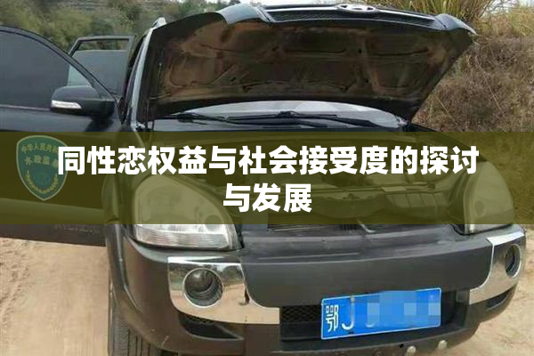 同性恋权益与社会接受度的探讨与发展