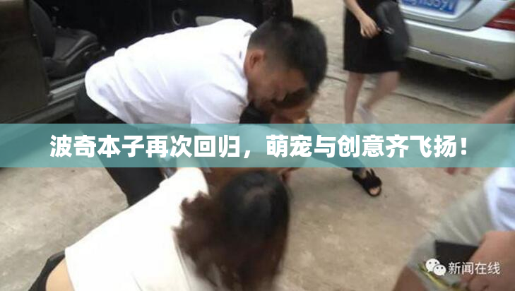 波奇本子再次回归，萌宠与创意齐飞扬！