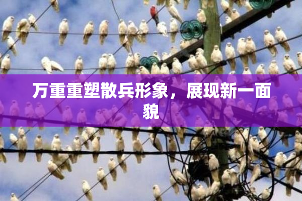 万重重塑散兵形象，展现新一面貌