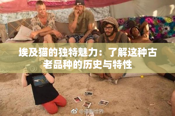 埃及猫的独特魅力：了解这种古老品种的历史与特性