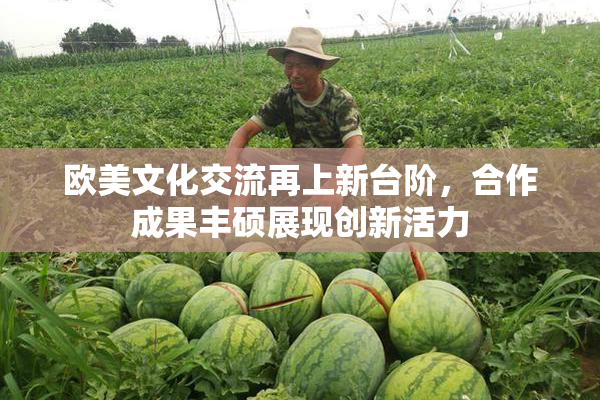 欧美文化交流再上新台阶，合作成果丰硕展现创新活力
