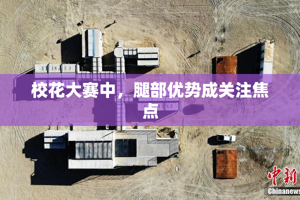 校花大赛中，腿部优势成关注焦点