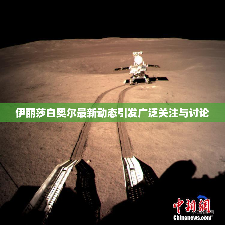 伊丽莎白奥尔最新动态引发广泛关注与讨论