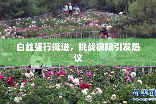 白丝强行挺进，挑战极限引发热议