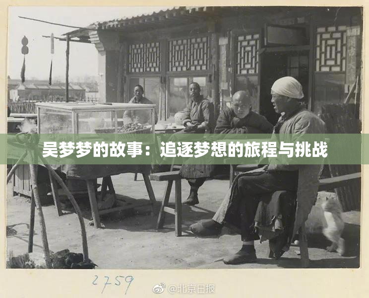 吴梦梦的故事：追逐梦想的旅程与挑战