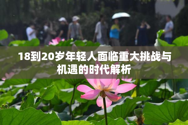 18到20岁年轻人面临重大挑战与机遇的时代解析