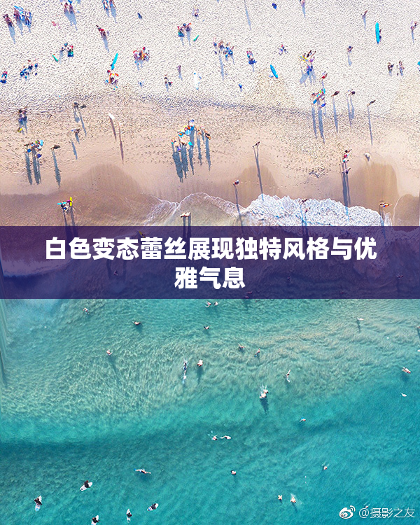 白色变态蕾丝展现独特风格与优雅气息