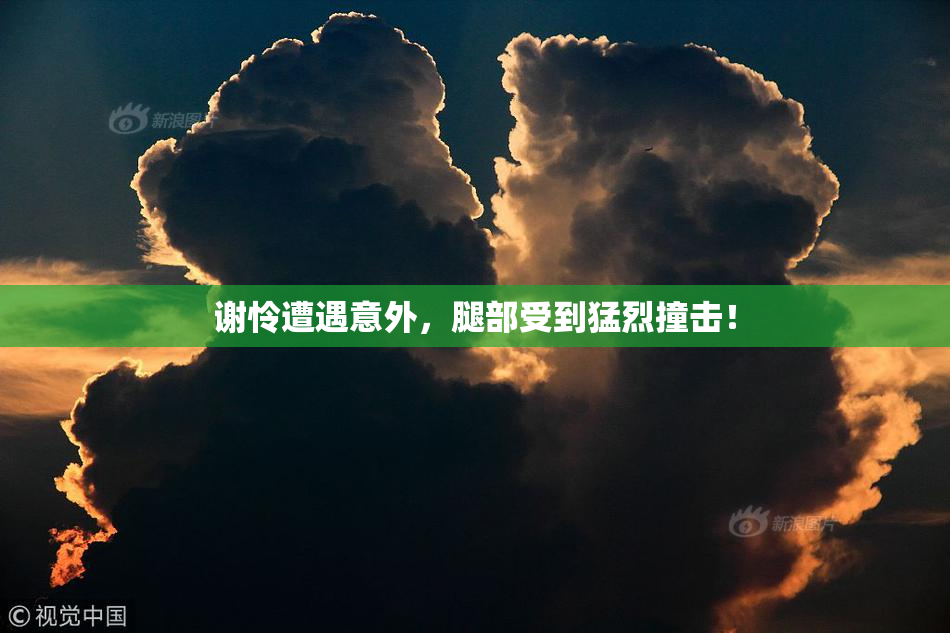 谢怜遭遇意外，腿部受到猛烈撞击！
