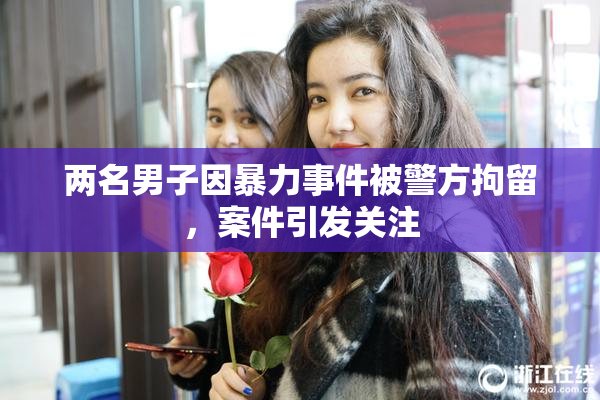 两名男子因暴力事件被警方拘留，案件引发关注