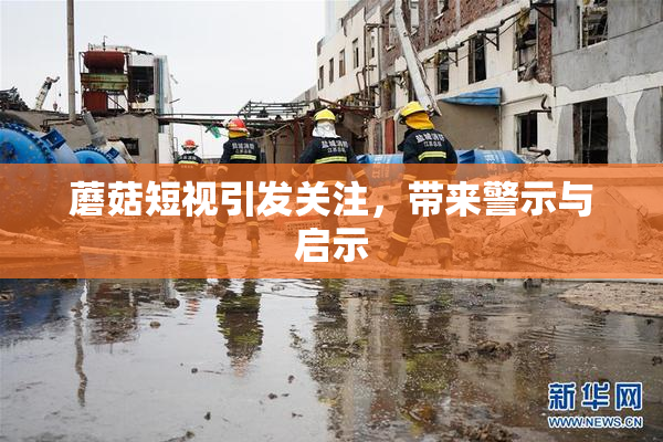 蘑菇短视引发关注，带来警示与启示