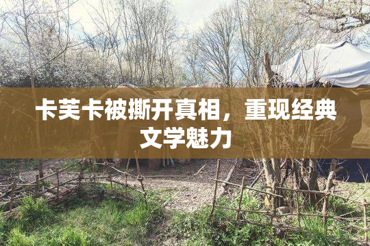 卡芙卡被撕开真相，重现经典文学魅力