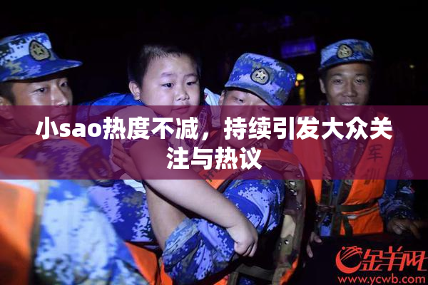 小sao热度不减，持续引发大众关注与热议