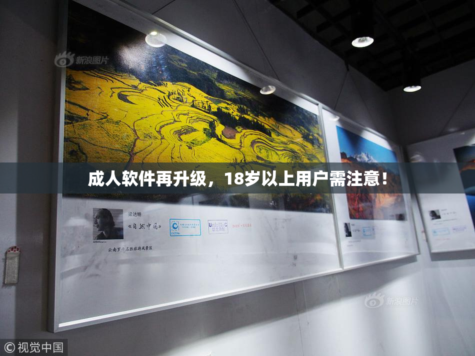成人软件再升级，18岁以上用户需注意！