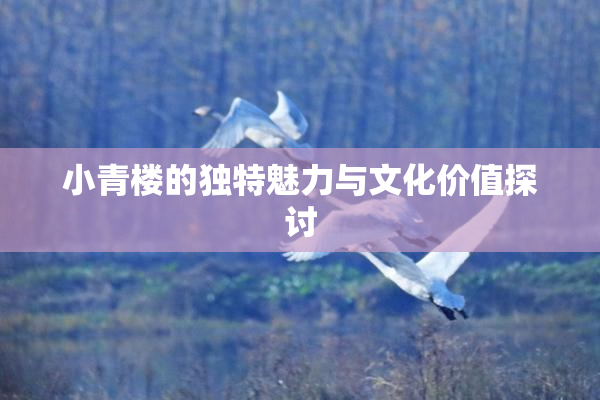 小青楼的独特魅力与文化价值探讨