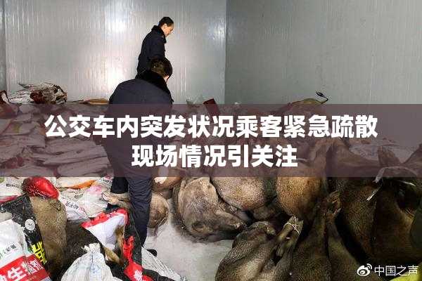 公交车内突发状况乘客紧急疏散 现场情况引关注