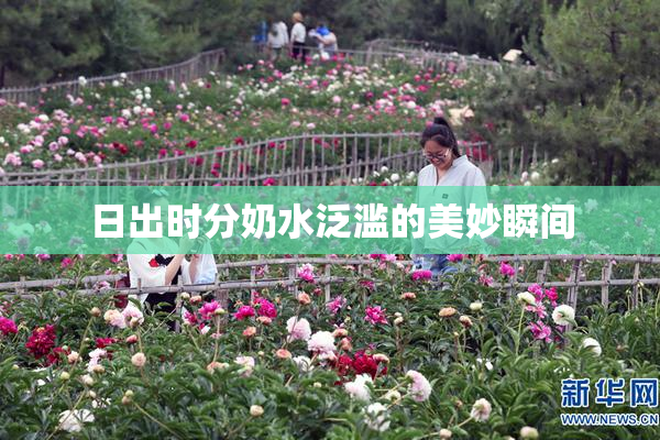 日出时分奶水泛滥的美妙瞬间