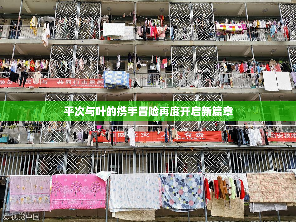 平次与叶的携手冒险再度开启新篇章